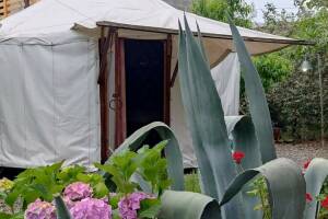 Изображение Изображение: Двухместный номер, стиль «Юрта» #1 #6