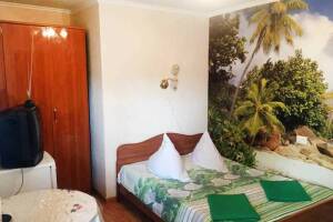 Изображение Изображение: Номер «Люкс 10» #1 #7