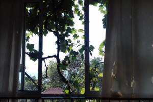 Изображение Изображение: 2-х комнатный люкс на первом этаже #1 #1