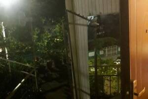 Изображение Изображение: Номер на веранде справа #1 #10