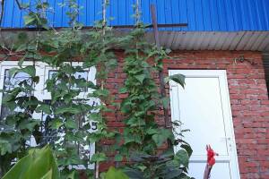 Изображение Изображение: «Апартаменты чародея» #1 #3