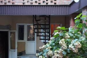 Изображение Изображение: «Киви» #1 #5