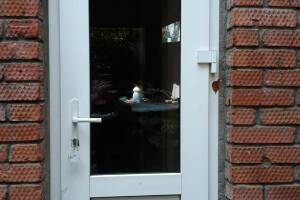 Изображение Изображение: Дачный домик #1 #9