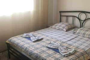 Изображение Изображение: 2-х местный «Улучшенный» #1 #1