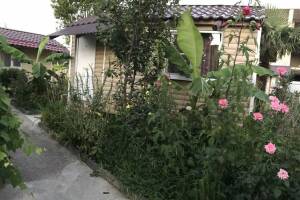 Изображение Изображение: Коттедж #1 #2