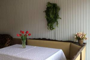 Изображение Изображение: 6-ти местный коттедж #1 #1