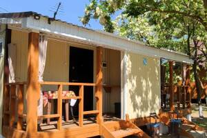 Изображение Изображение: Номер № 9-левый #1 #8