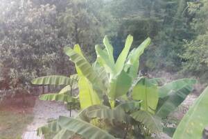 Изображение Изображение: 2 -х местный номер «стандарт » #1 #1