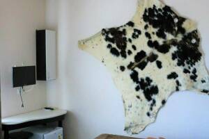 Изображение Изображение: Номер Индейский двухместный #1 #1