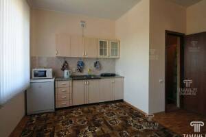 Изображение Изображение: 2-х комнатный люкс с кухней на 1 этаже #1 #1