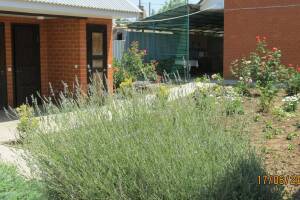 Изображение Изображение: Корпус № 1 (2-х местный) удобства на территории #1 #4