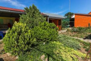 Изображение Изображение: Корпус № 1 (2-х местн) с удобствами #1 #5