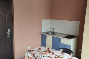 Изображение Изображение: Номер 4: Кухня в номере, 2 этаж, 2х местный #1 #5