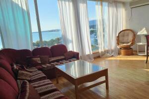 Изображение Изображение: Люкс Мимоза #1 #4