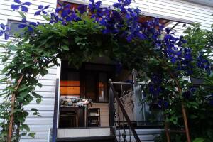 Изображение Изображение: Номер на 4 человека #1 #1