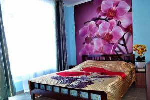 Изображение Изображение: «Орхидея» с террасой, с ванной, кухней и бассейном #1 #12