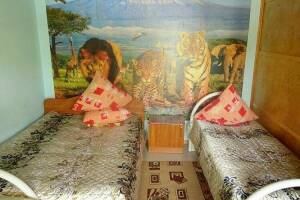 Изображение Изображение: Двухместный «Эконом» #1 #1