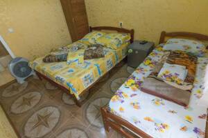 Изображение Изображение: Трехместный номер с удобствами #1 #1