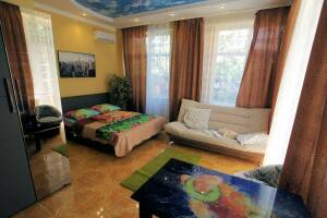 Изображение Изображение: Студия с кухней «Америка» #1 #15