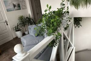 Изображение Изображение: 3-х местный номер (№ 12) #1 #12