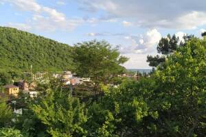 Изображение Изображение: Комфорт 4х местный с видом на море #1 #2