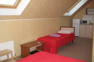 Изображение Изображение: Трехместный номер с кухней № 11 «Мансарда» #1 #8