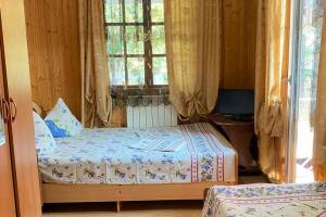 Изображение Изображение: 3-х местный «Стандарт» с балконом #1 #6