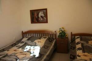 Изображение Изображение: 3-х местный «Эконом+» #1 #13