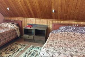 Изображение Изображение: 3-х местная комната «стандарт» #1 #3