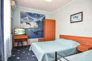 Изображение Изображение: 3-х местный 2-х комнатный с кухней и балконом #1 #5