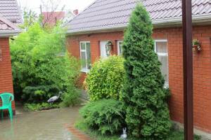 Изображение Изображение: 4−3 местный #1 #7