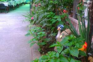 Изображение Изображение: 4-х местная комната на втором этаже #1 #1