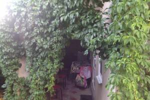 Изображение Изображение: 2х комн. люкс (с кухней и беседкой) 1-й эт #1 #2