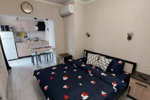 Изображение Изображение: Двухместный студия #1 #1