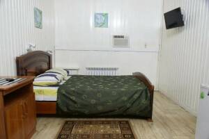 Изображение Изображение: Двухместный номер «Стандарт» с 1 кроватью #1 #18