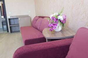 Изображение Изображение: Двухкомнатные апартаменты «Люкс» #1 #12