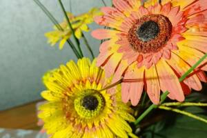 Изображение Изображение: 4-х местный «Комфорт» #1 #3