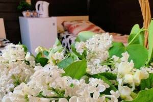 Изображение Изображение: Финский домик 3-х местный #1 #3