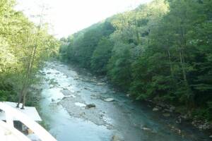 Изображение Изображение: Двухкомнатный Стандарт #1 #5