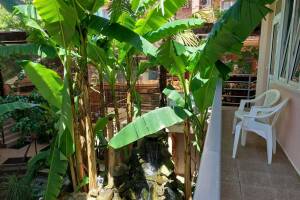 Изображение Изображение: 2х комнатный с отдельным входом #1 #6