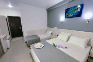 Изображение Изображение: Трехместный комфорт #1 #5