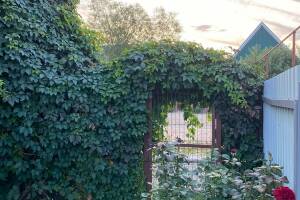 Изображение Изображение: № 1 «Семейный дом» #1 #1