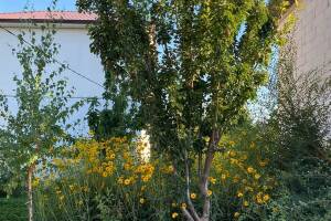 Изображение Изображение: № 5 «Гостевой-1» #1 #3