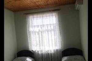 Изображение Изображение: 2-х местный номер #1 #1