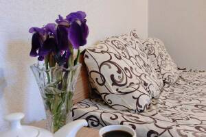 Изображение Изображение: 3х местный «Эконом» #1 #2