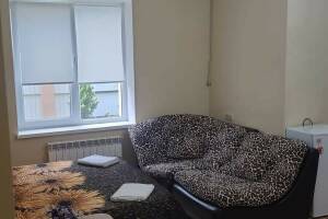 Изображение Изображение: Однокомнатные апартаменты с кухней #1 #9