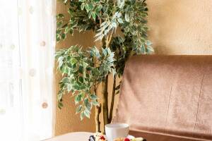 Изображение Изображение: Пятиместный номер с балконом #1 #5