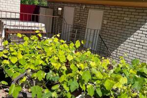 Изображение Изображение: Этаж под ключ #1 #1