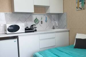 Изображение Изображение: Трехместная студия с кухней 405 #1 #5