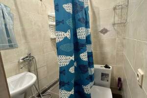 Изображение Изображение: Номер № 8 Четырехместный «Комфорт» #1 #9